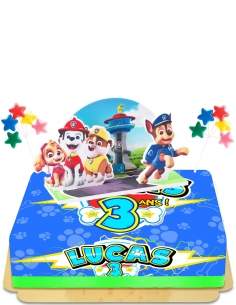 Happy-Cake.co.uk Egg-free, vegetarian and gluten-free Paw Patrol pop-up cake - 4