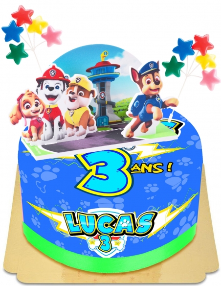 Happy-Cake.co.uk Egg-free, vegetarian and gluten-free Paw Patrol pop-up cake - 14