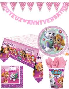 Paw patrol girl birthday decoration pack Skye and Everest Happy-Cake.co.uk - 1