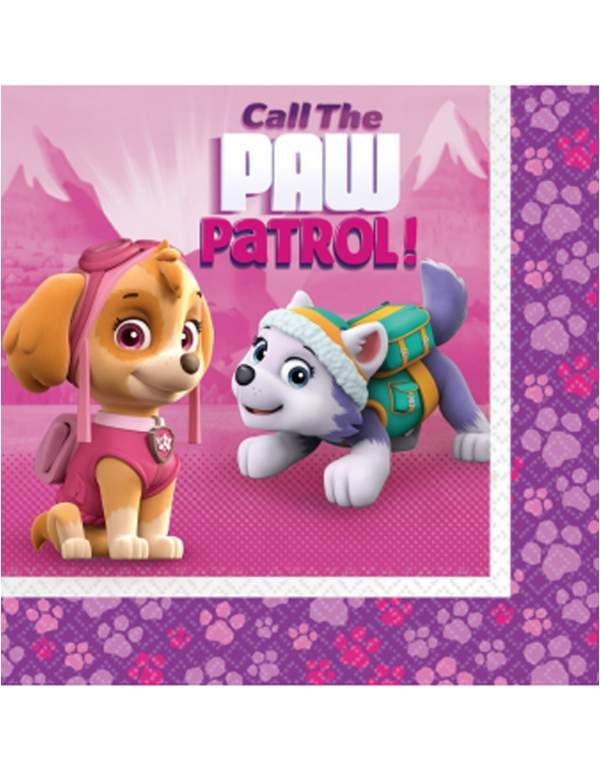 Paw patrol girl birthday decoration pack Skye and Everest Happy-Cake.co.uk - 3