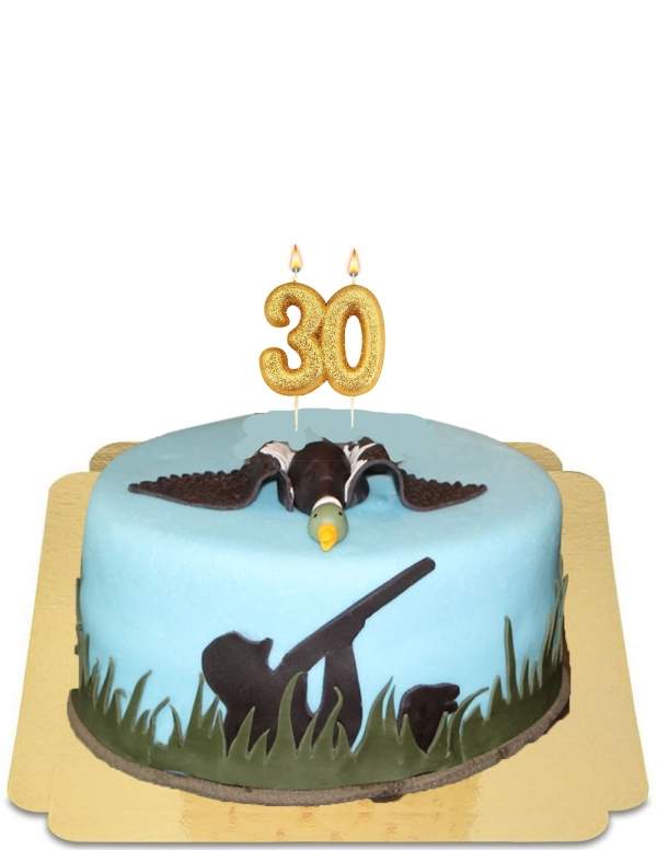  Vegan duck hunt cake, gluten free - 127
