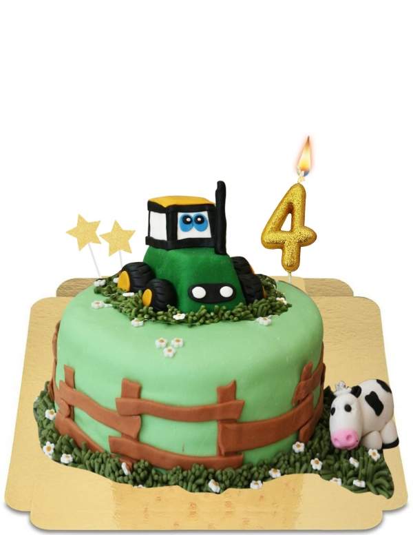  Gluten-free farm tractor and pre-vegan cow cake - 51