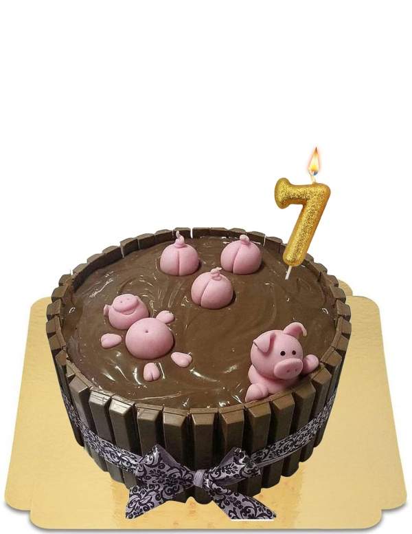  Funny vegan mud bath pig cake, gluten-free - 14