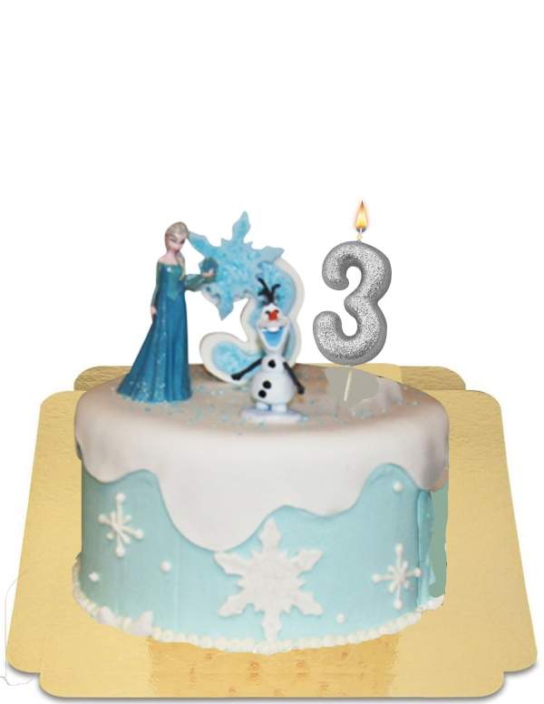  Vegan Frozen Figure Cake, Gluten Free - 204