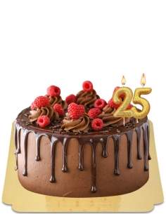  Chocolate drip cake decorated with fresh raspberries and vegan chocolate meringues, gluten free - 266