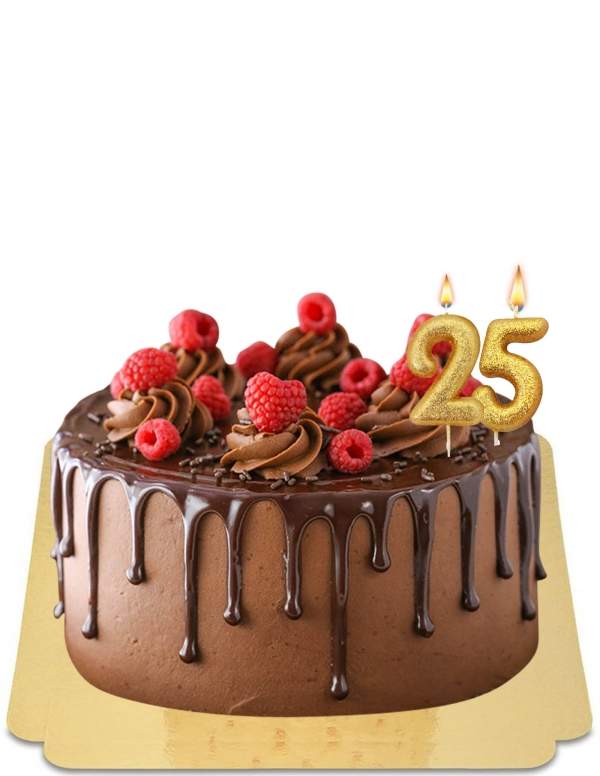  Chocolate drip cake decorated with fresh raspberries and vegan chocolate meringues, gluten free - 266