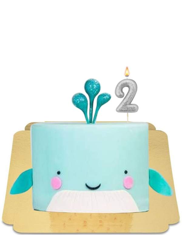  Adorable vegan whale cake, gluten free - 27