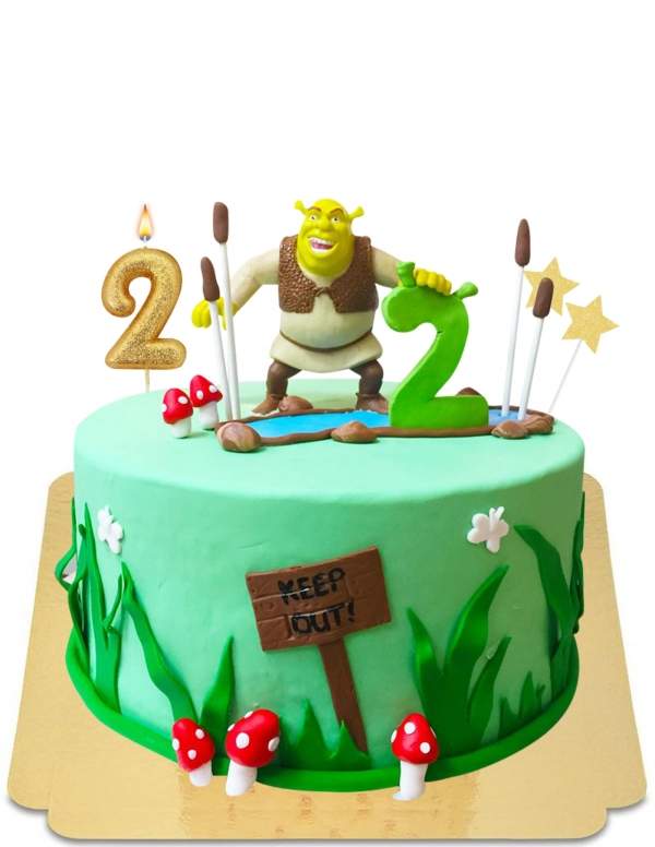  Shrek cake in his vegan forest, gluten-free - 82