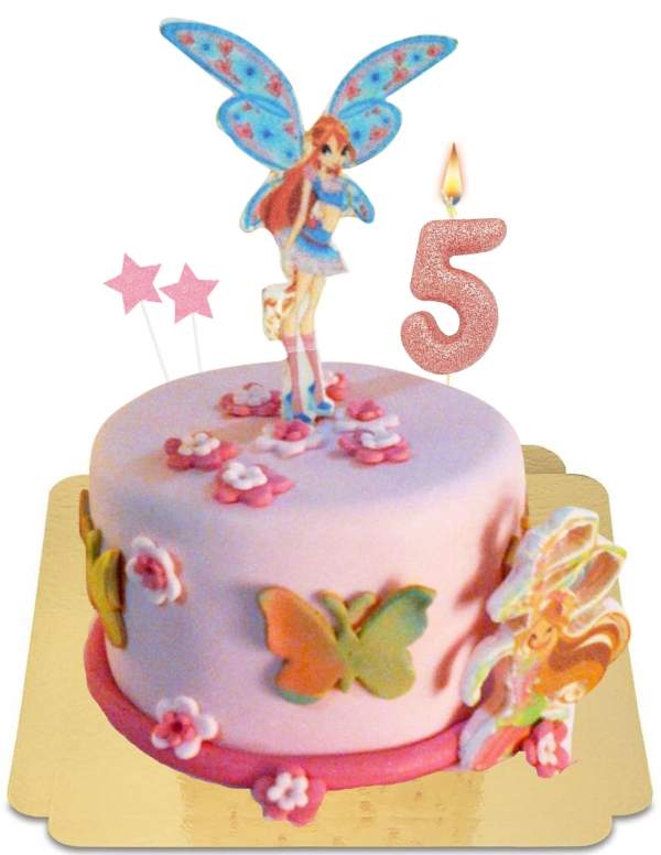  Winx Club and Bloom, the dragon flame fairy vegan cake, gluten free - 139