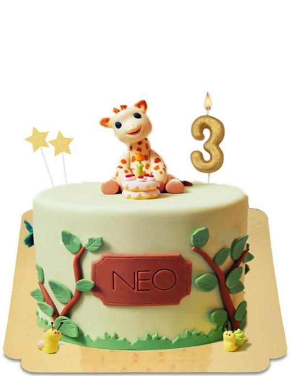  Sophie la girafe vegan cake, gluten-free - 41