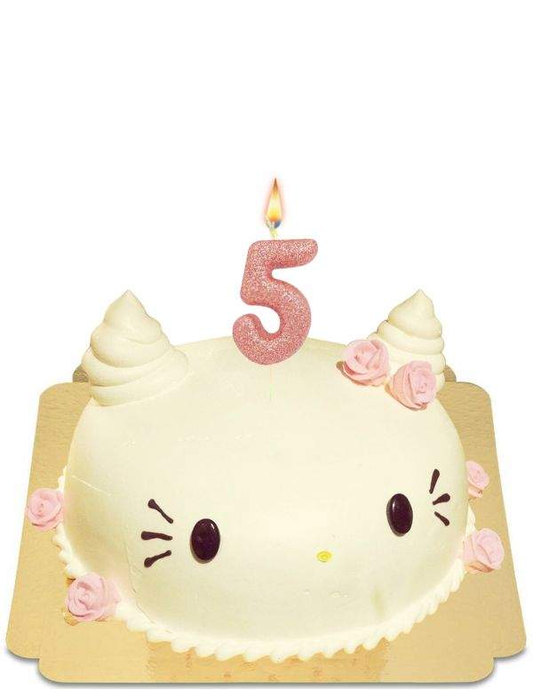 Happy-Cake.co.uk Vegan, organic and gluten-free cat cake - 63