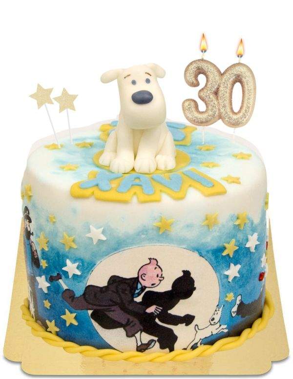 Happy-Cake.co.uk Vegan, organic and gluten-free Tintin cake - 170