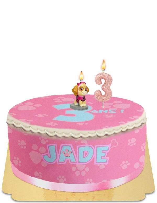 Paw patrol Skye cake without egg, vegetarian and gluten-free Happy-Cake.co.uk - 44