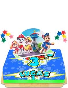 Happy-Cake.co.uk Egg-free, vegetarian and gluten-free Paw Patrol pop-up cake - 27