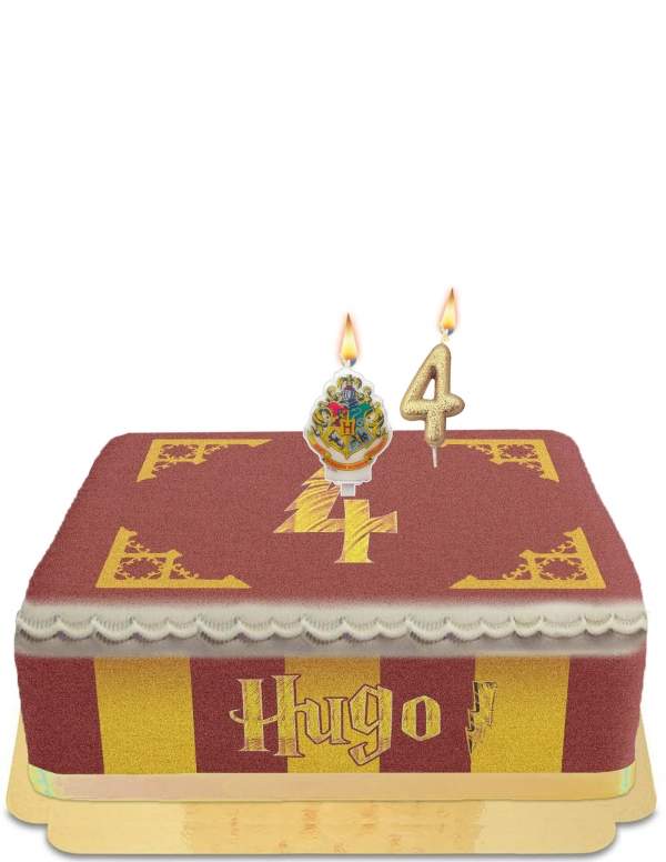 Happy-Cake.co.uk Harry Potter Chocolate Frog Cake Egg Free, Vegetarian and Gluten Free - 64