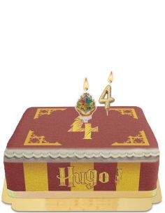 Happy-Cake.co.uk Harry Potter Quidditch Cake Egg Free, Vegetarian & Gluten Free - 7